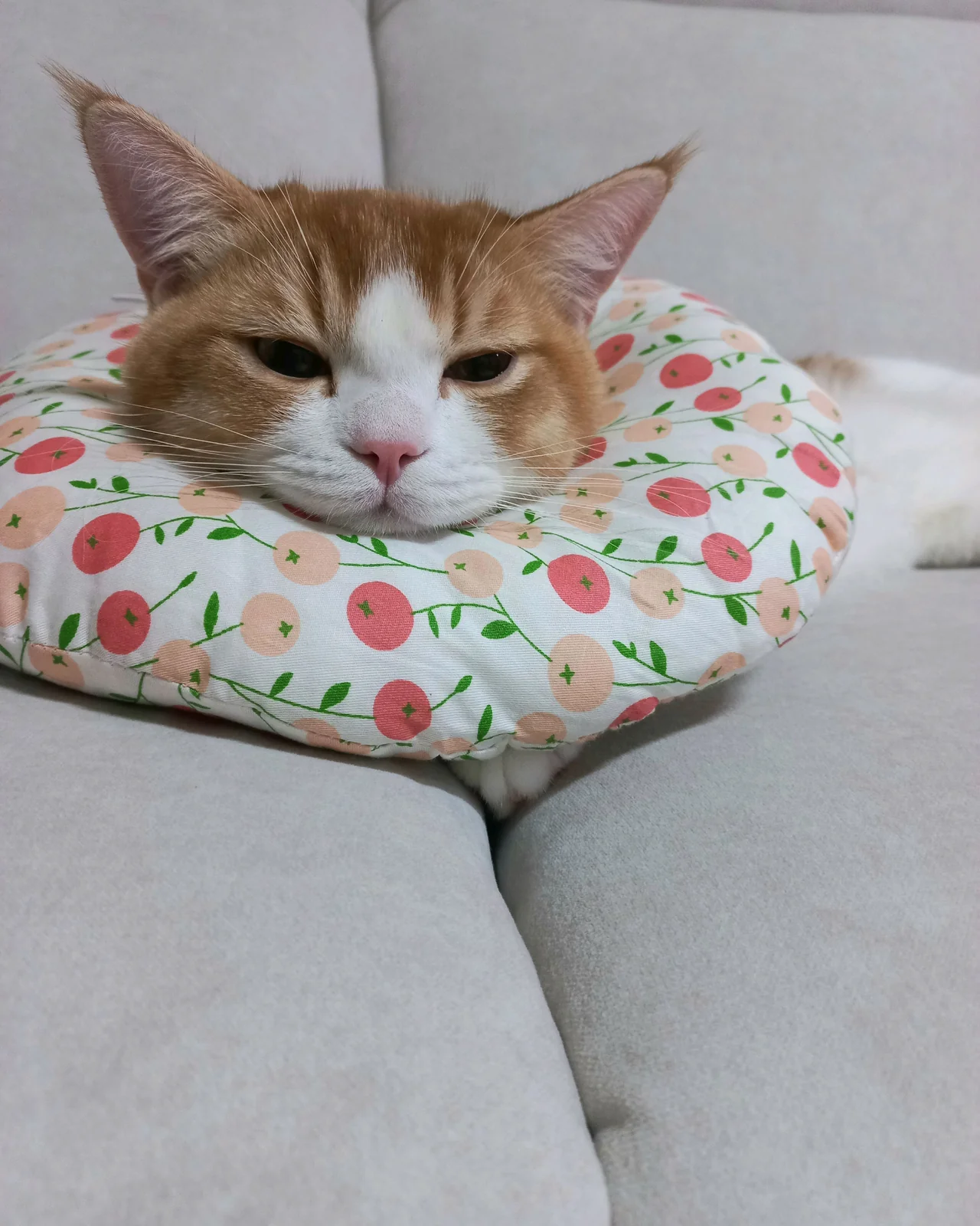 리뷰 사진 4