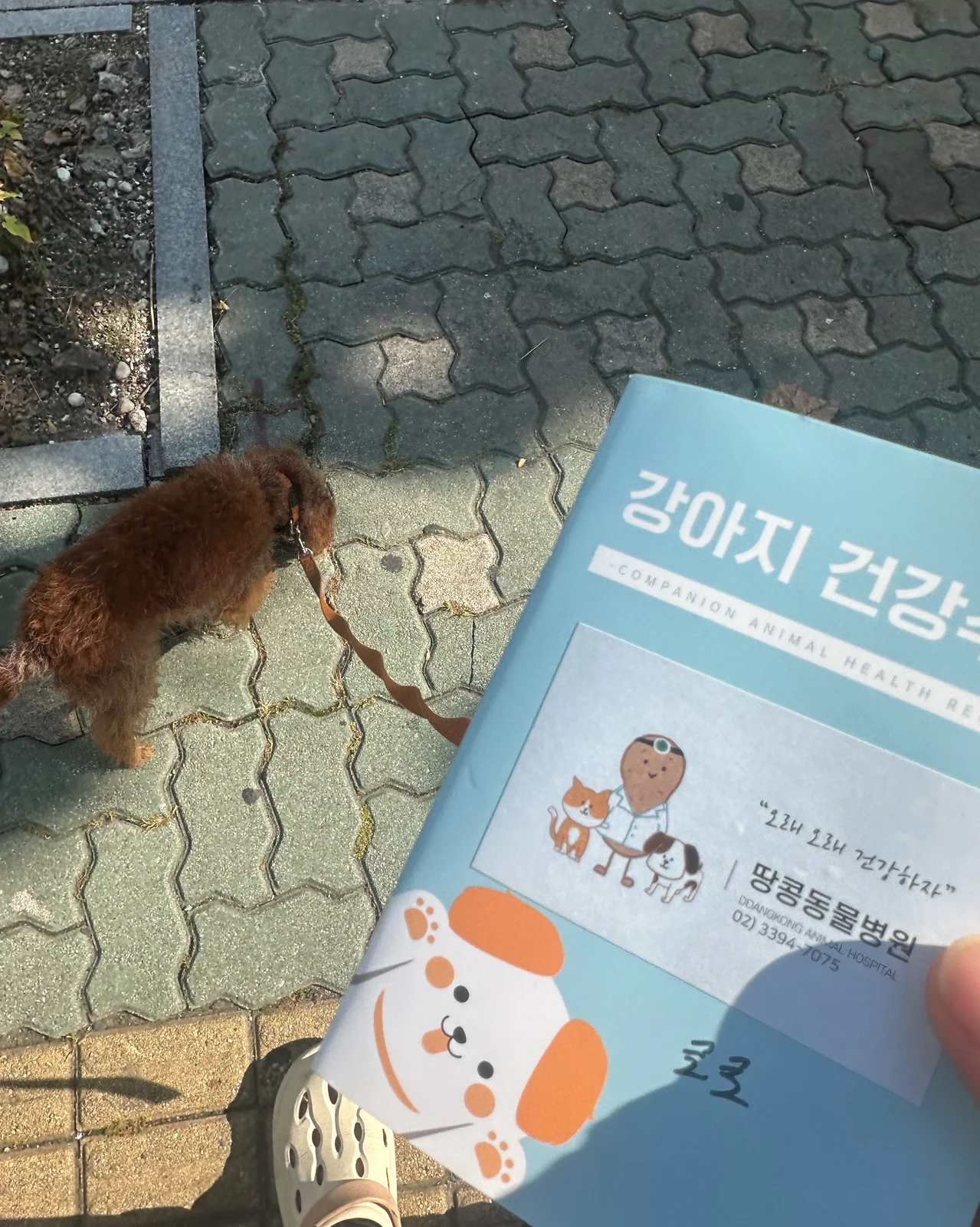 리뷰 사진 1