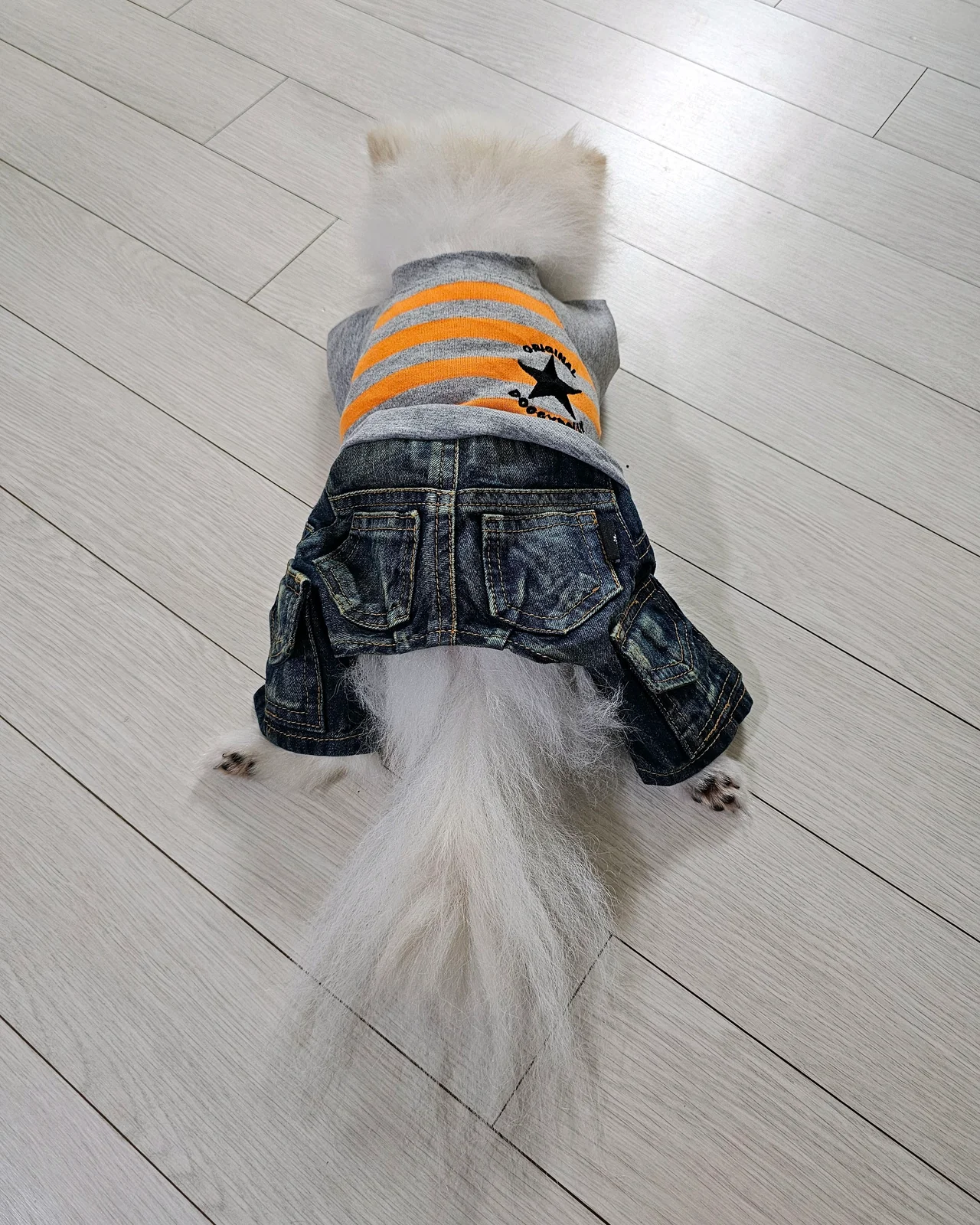 리뷰 사진 1