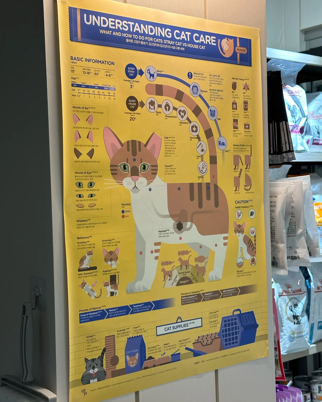 리뷰 사진 3