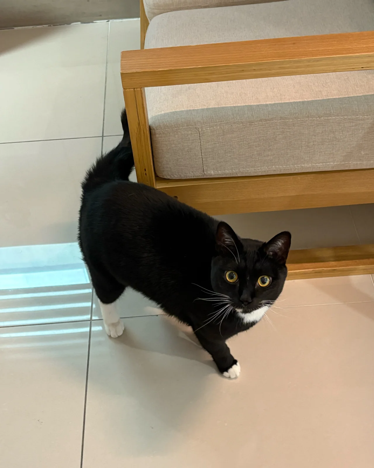 리뷰 사진 1