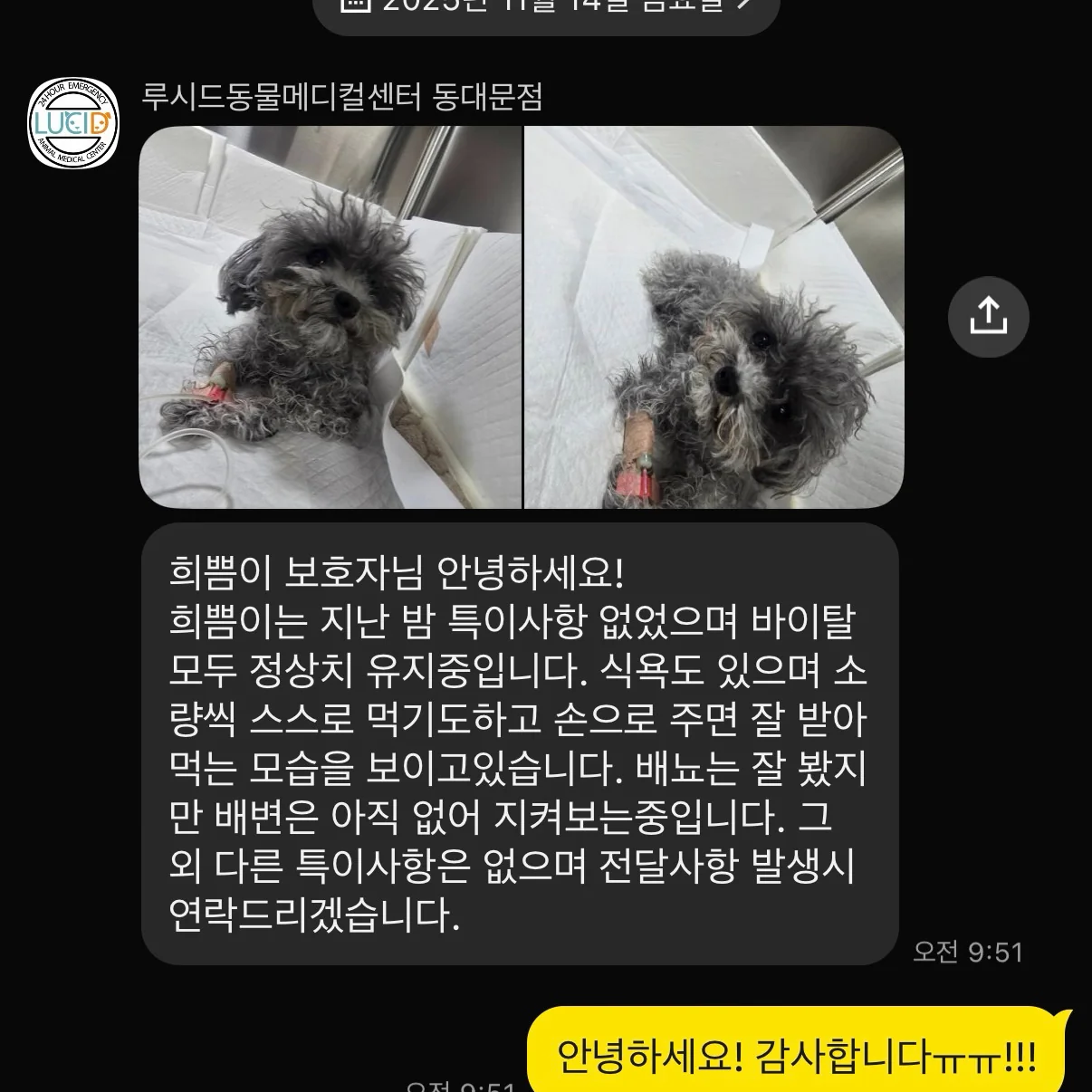 리뷰 사진 2