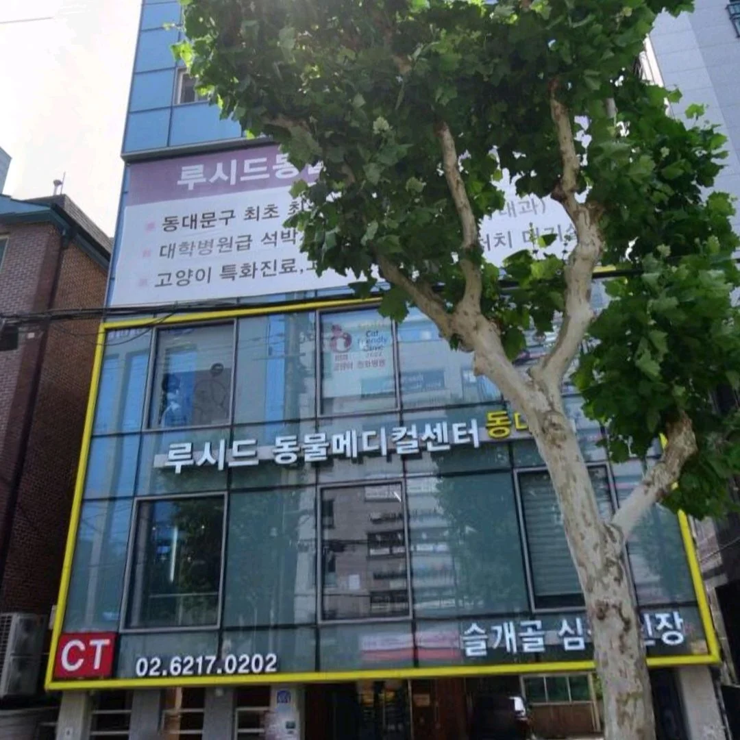 리뷰 사진 1