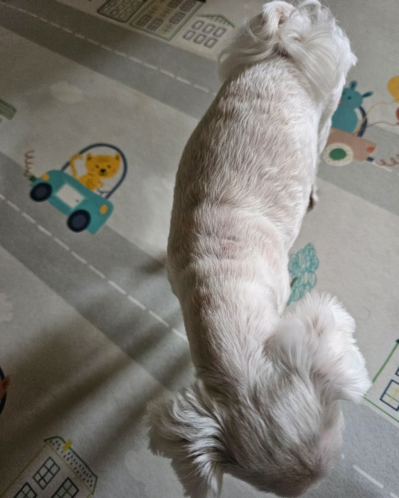 리뷰 사진 3