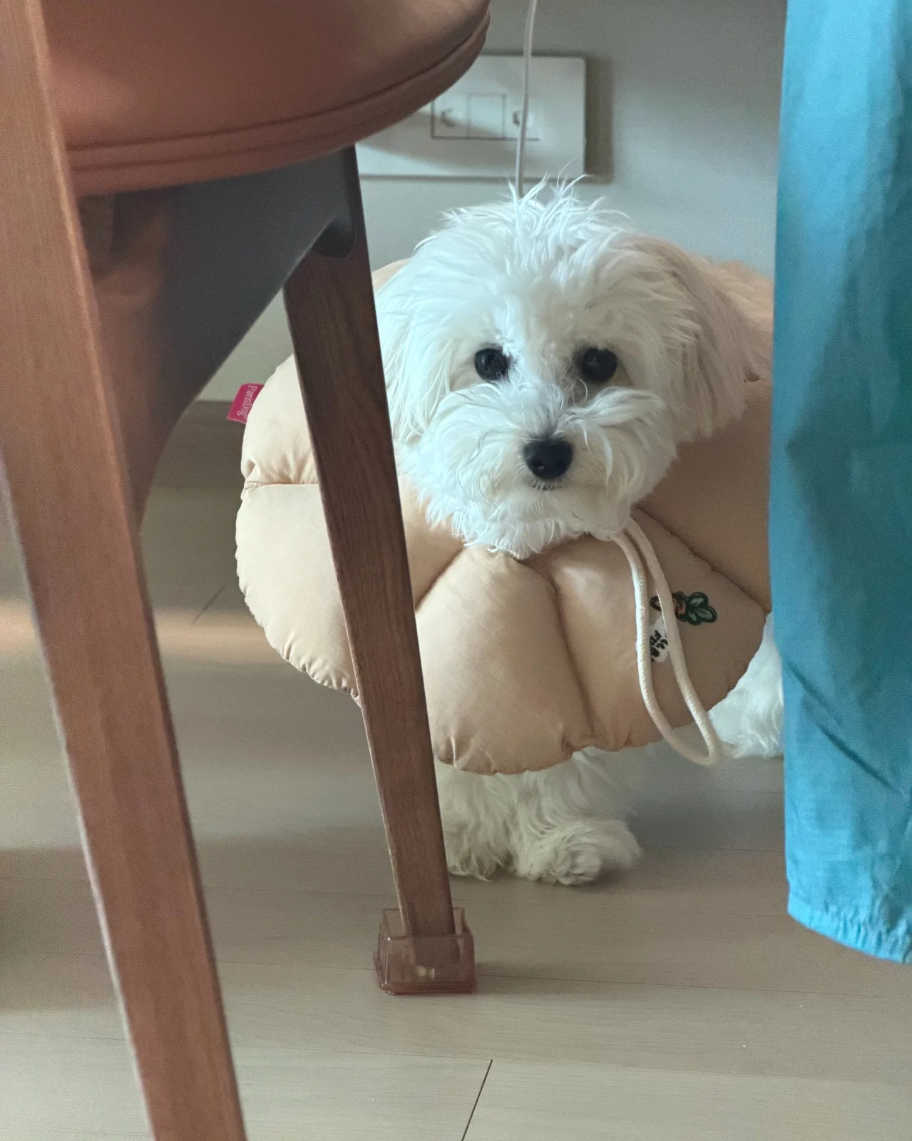 리뷰 사진 2