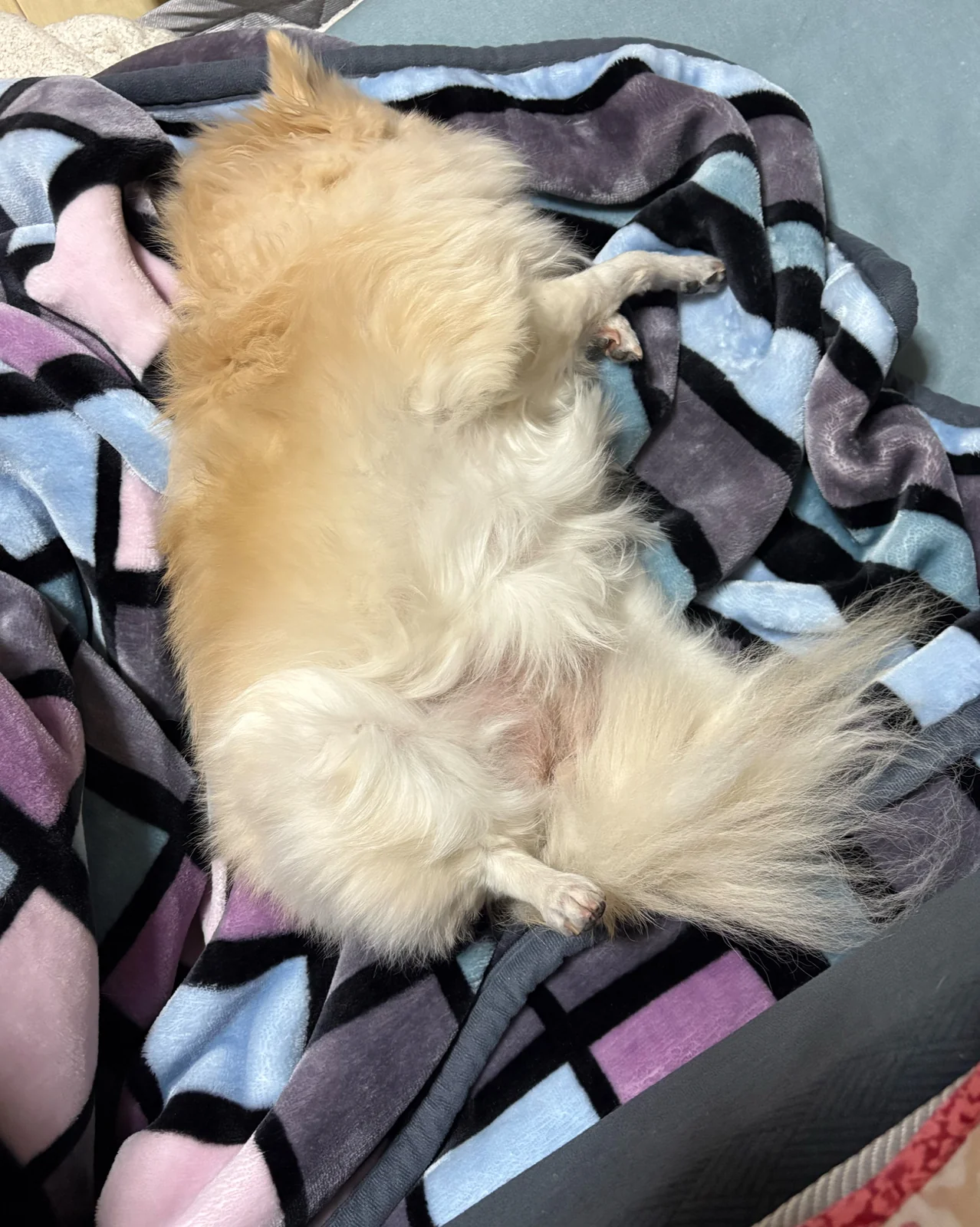 리뷰 사진 1