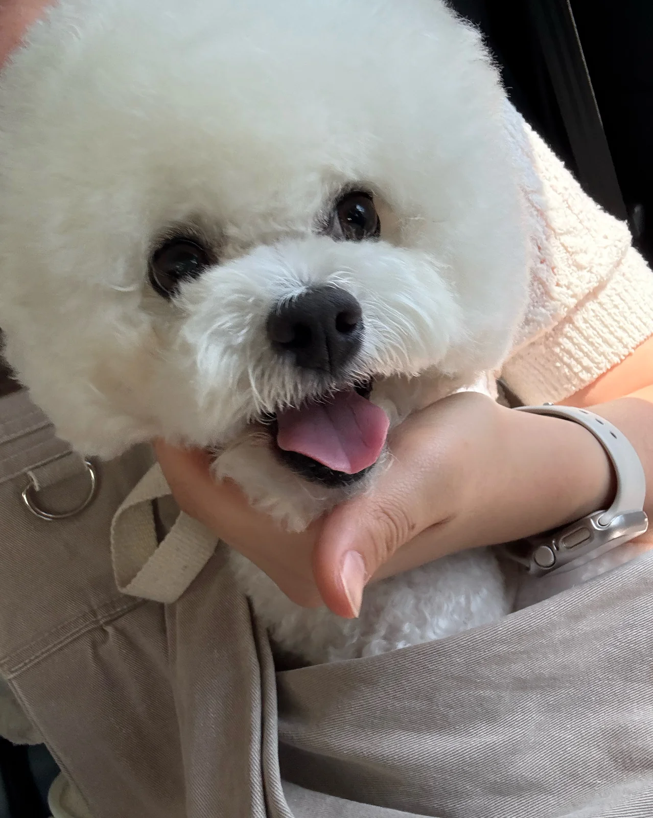 리뷰 사진 1