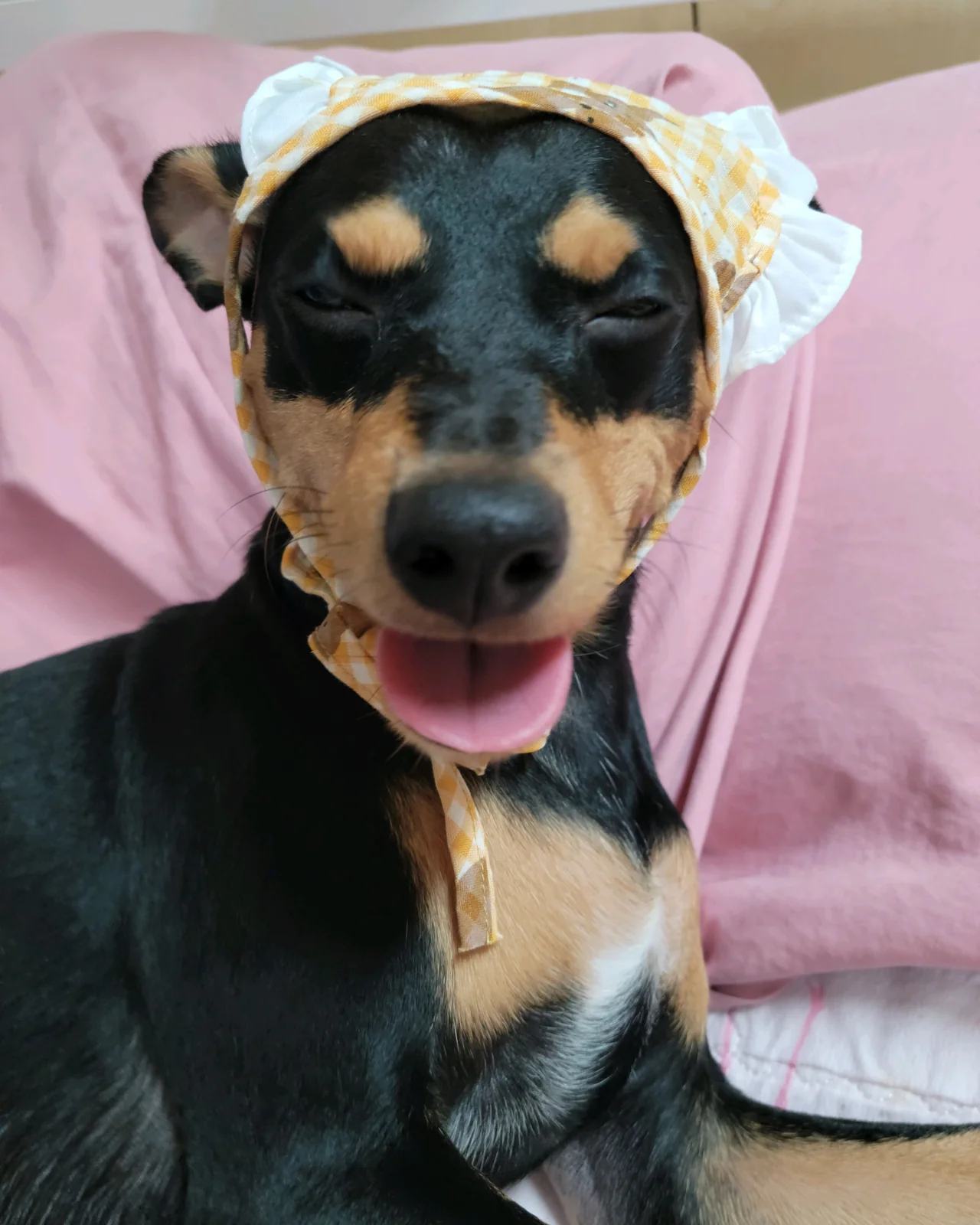 리뷰 사진 1