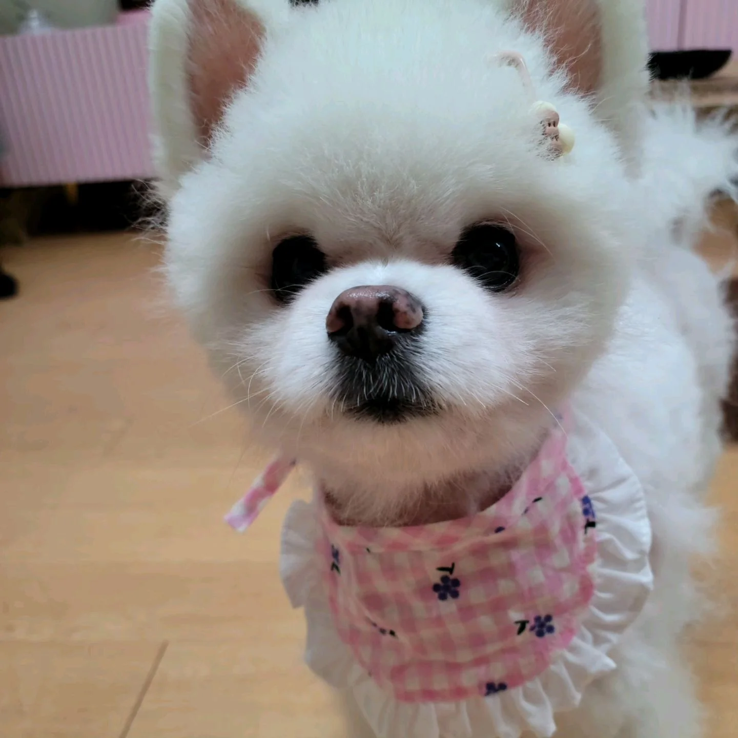 리뷰 사진 2