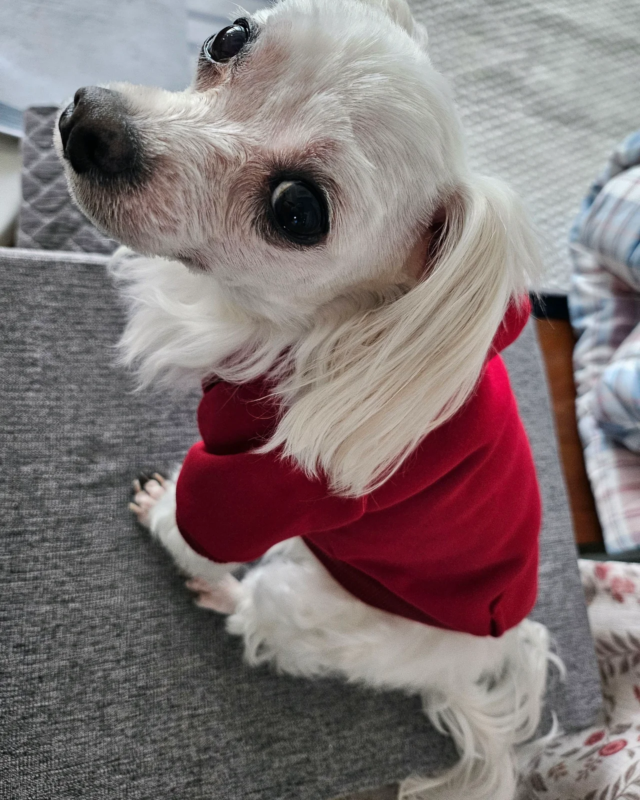 리뷰 사진 1