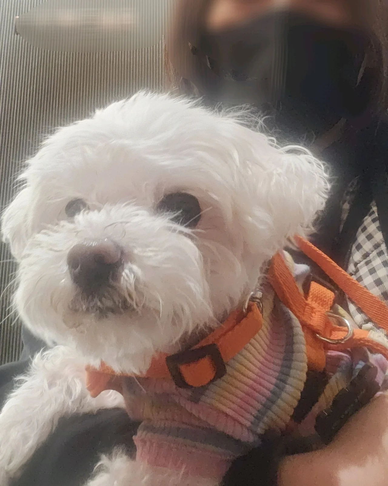 리뷰 사진 1