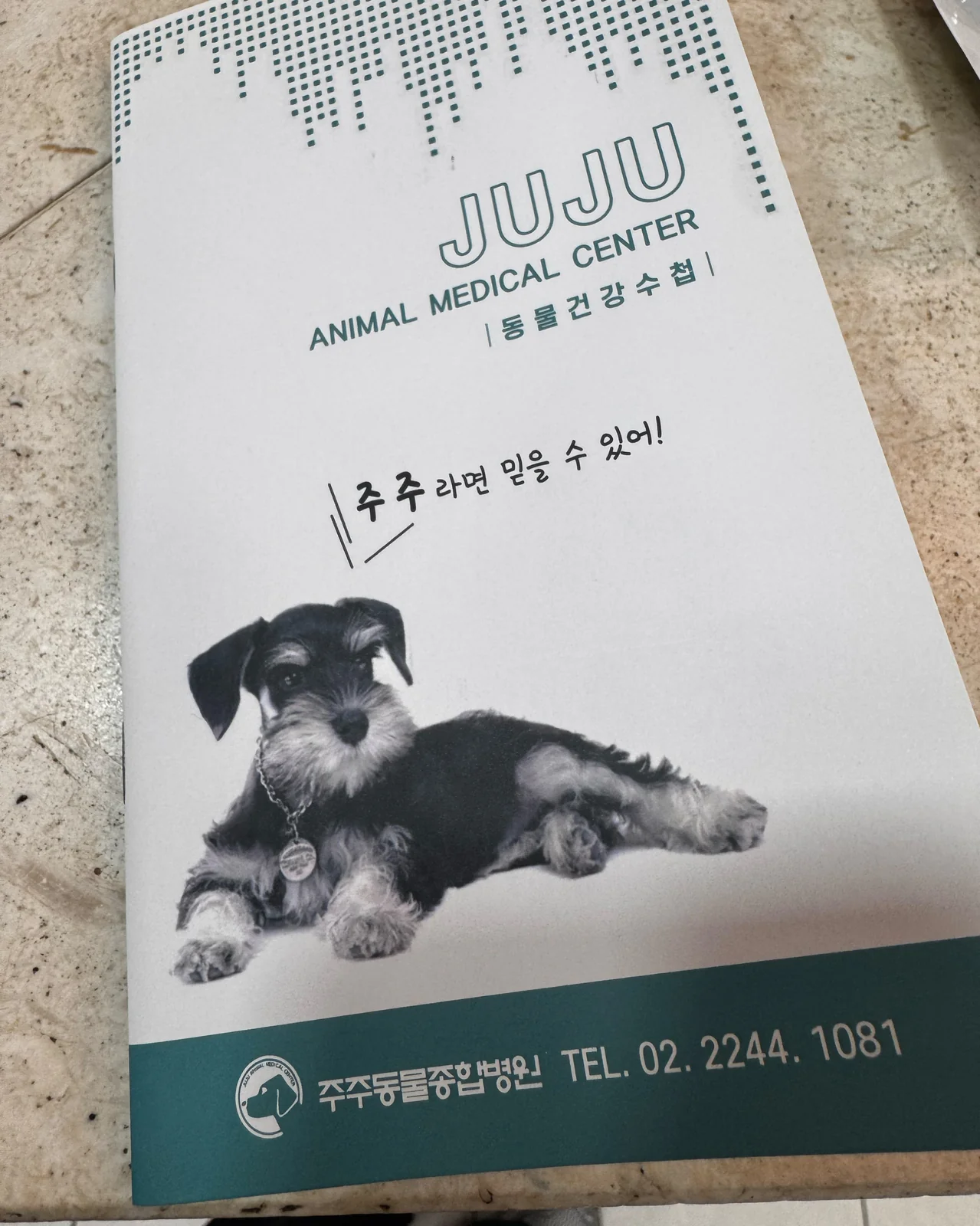 리뷰 사진 1