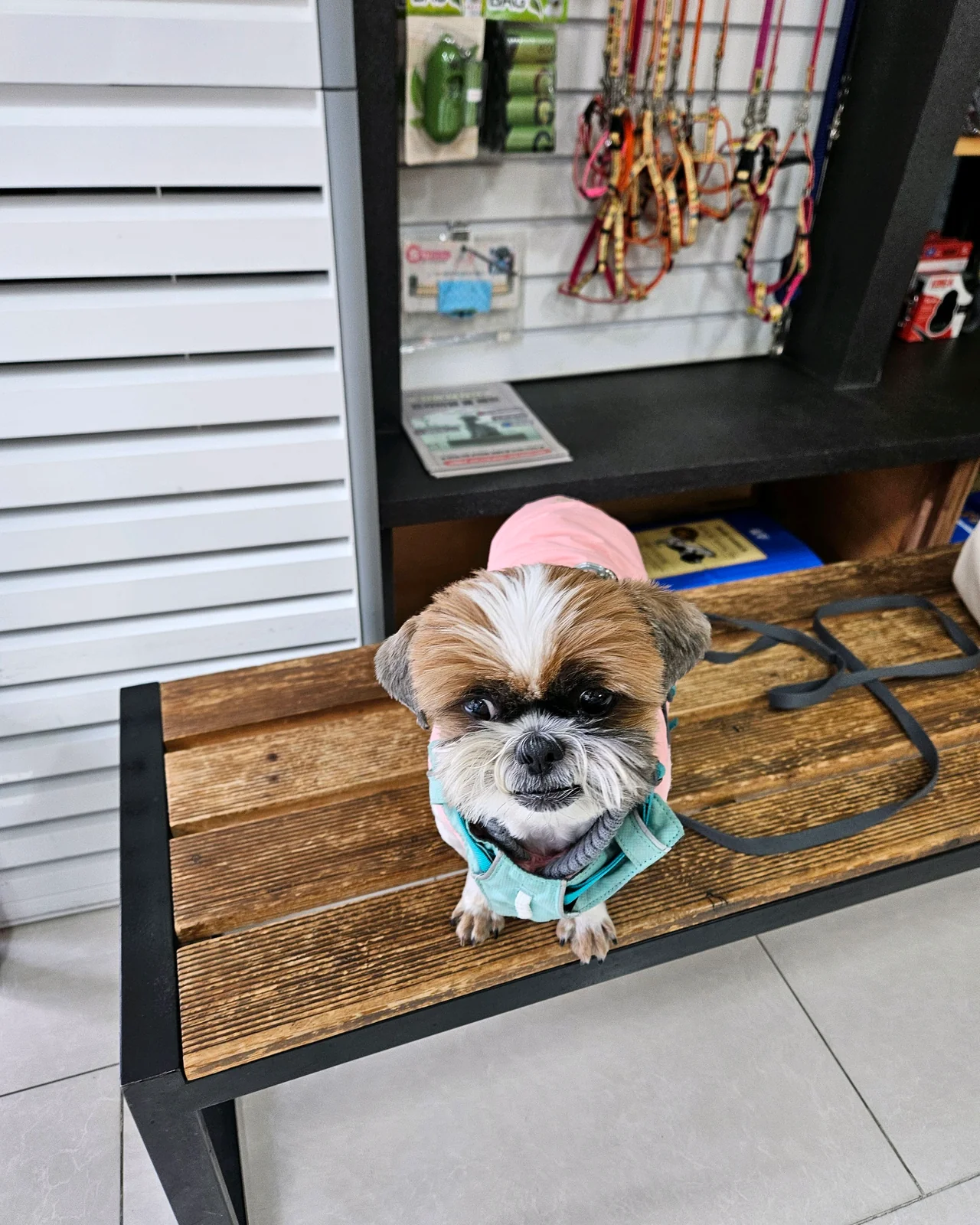 리뷰 사진 1
