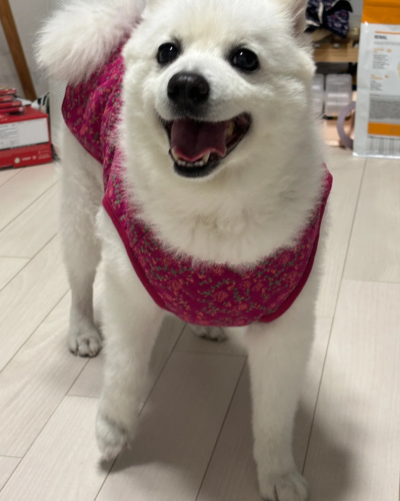 리뷰 사진 1