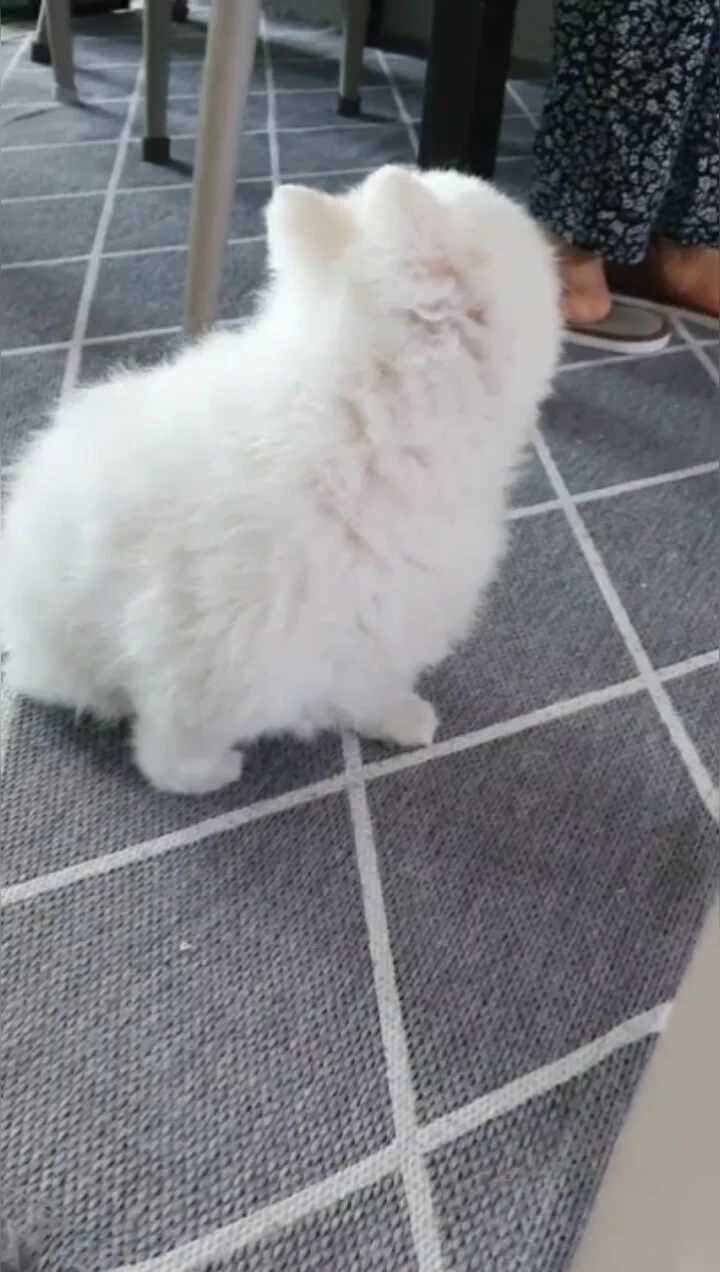 리뷰 사진 1