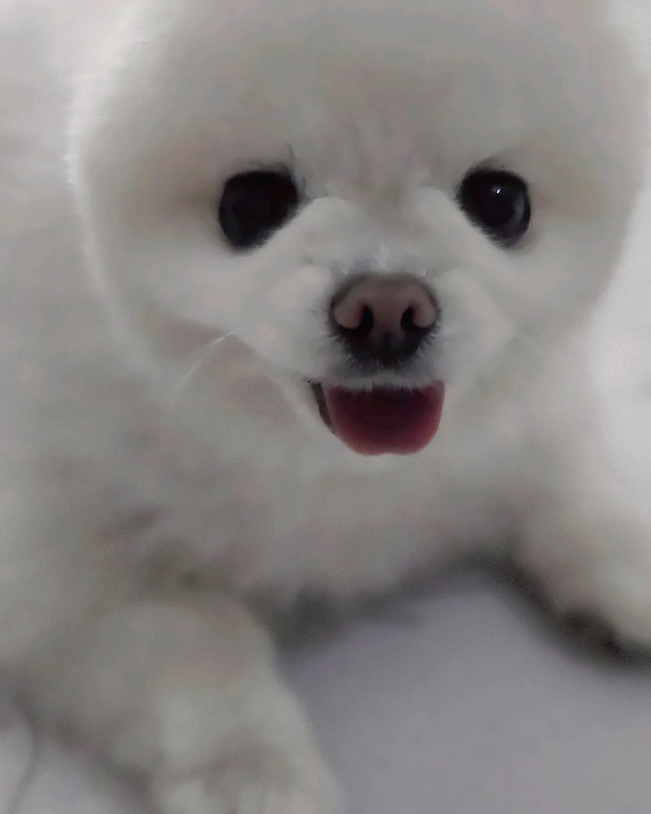 리뷰 사진 2