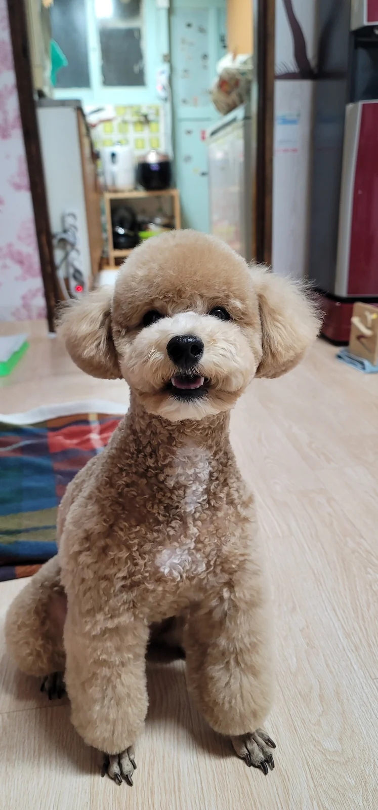 리뷰 사진 5