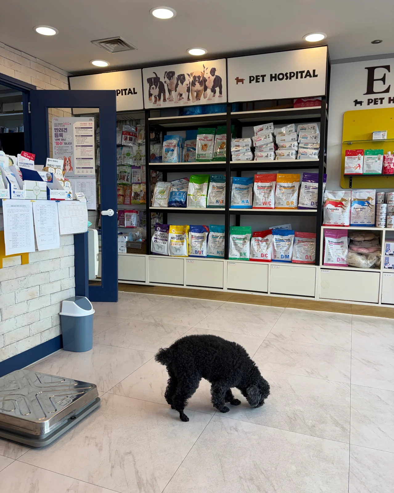 리뷰 사진 1