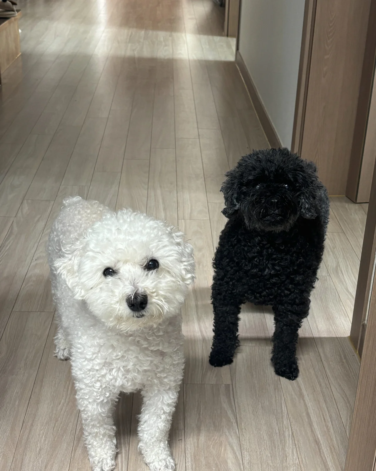 리뷰 사진 1