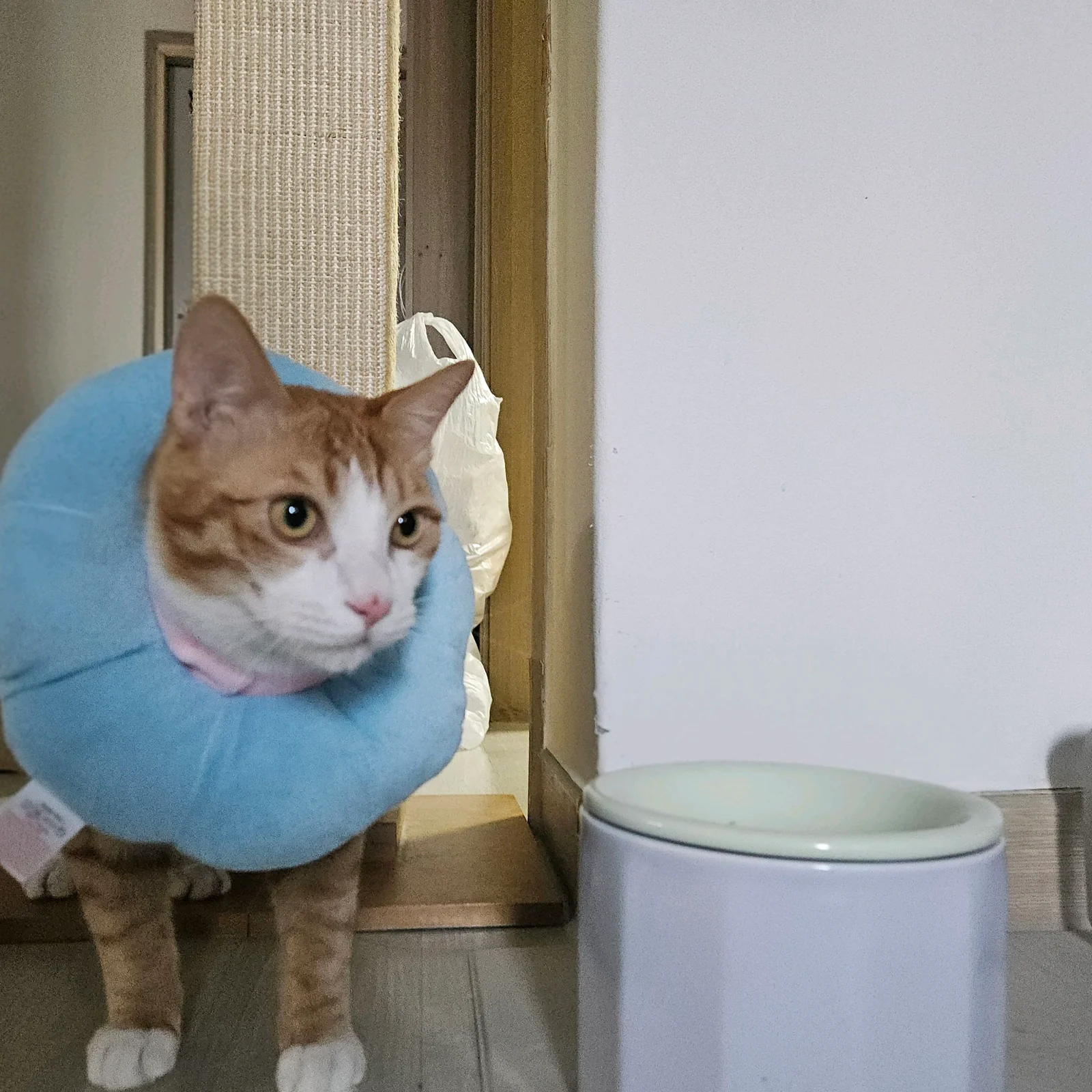리뷰 사진 1