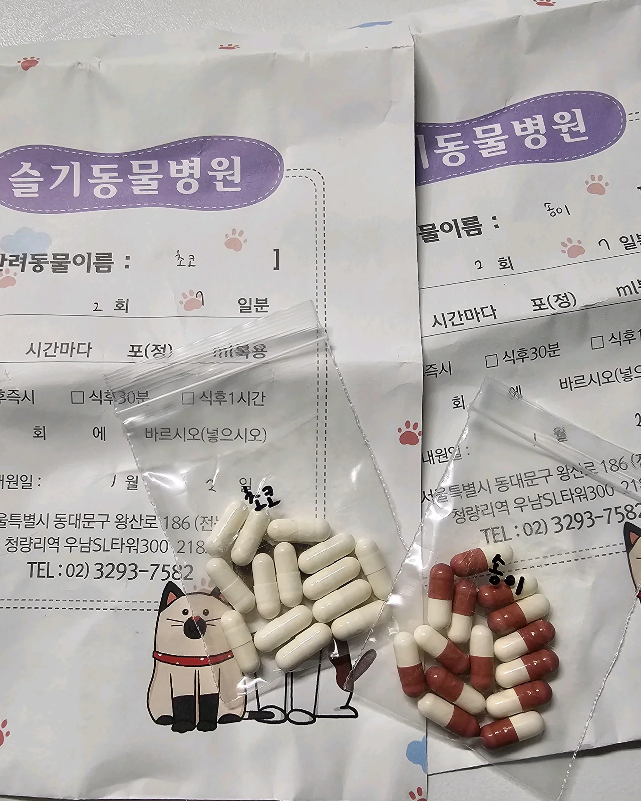 리뷰 사진 11