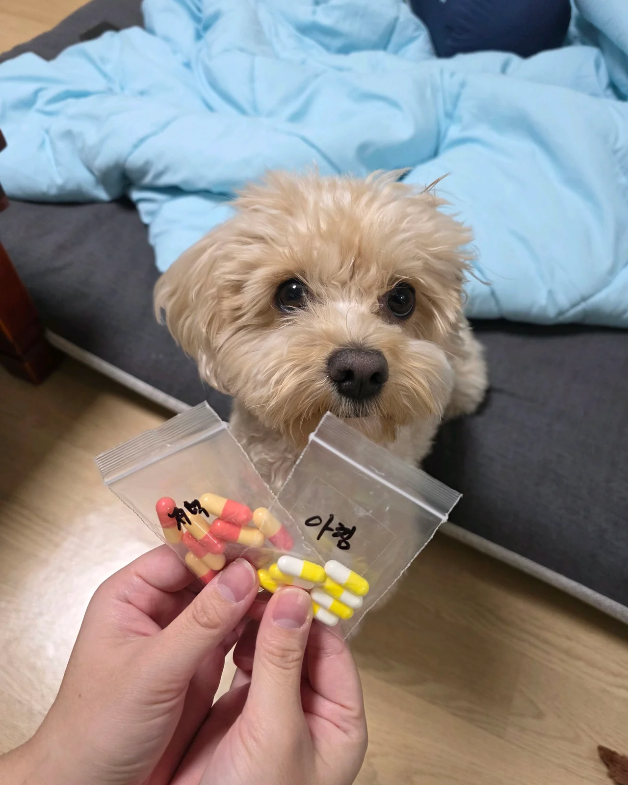 리뷰 사진 1