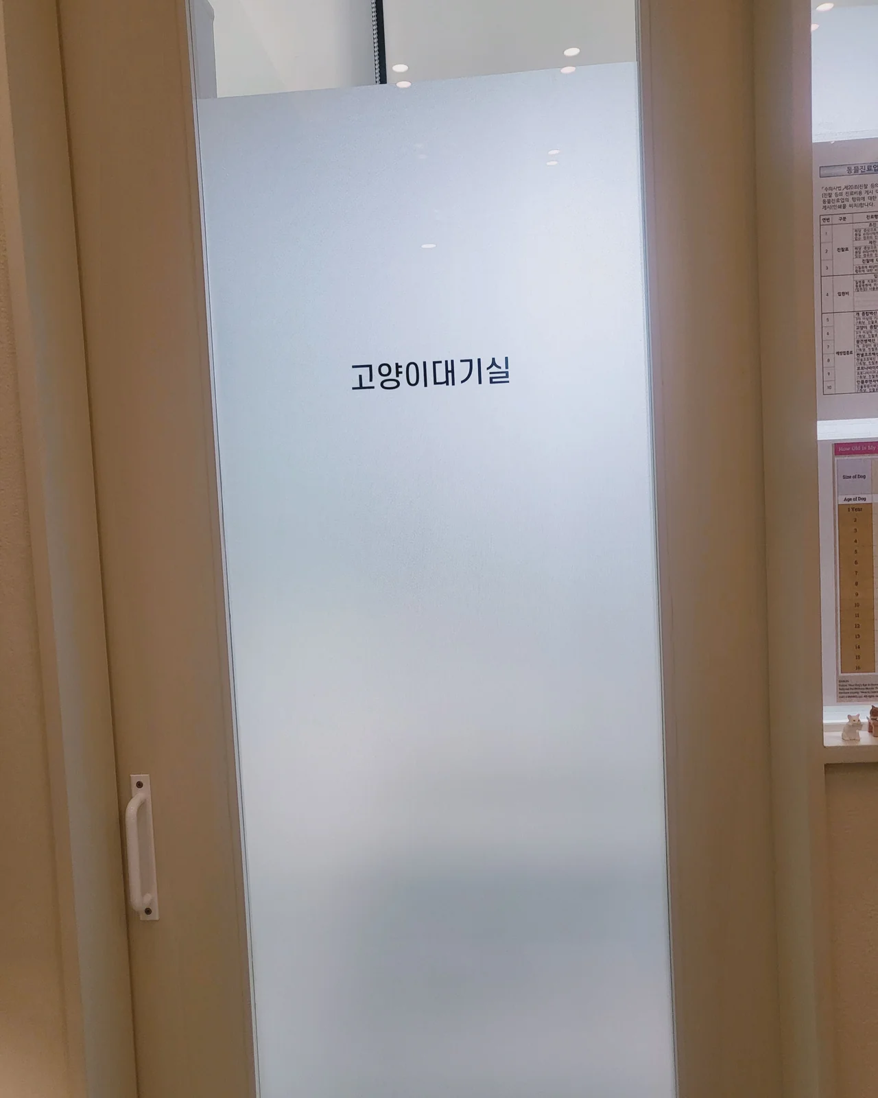 리뷰 사진 1