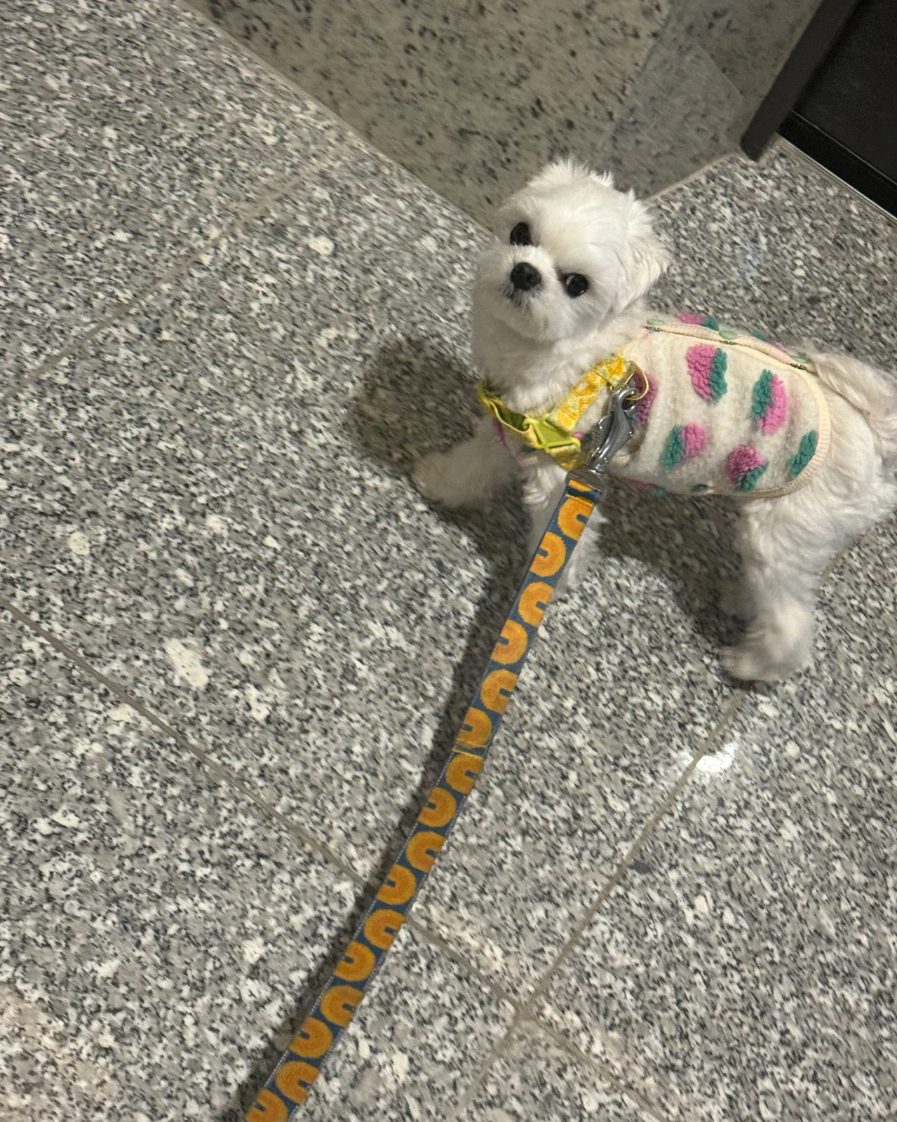 리뷰 사진 1