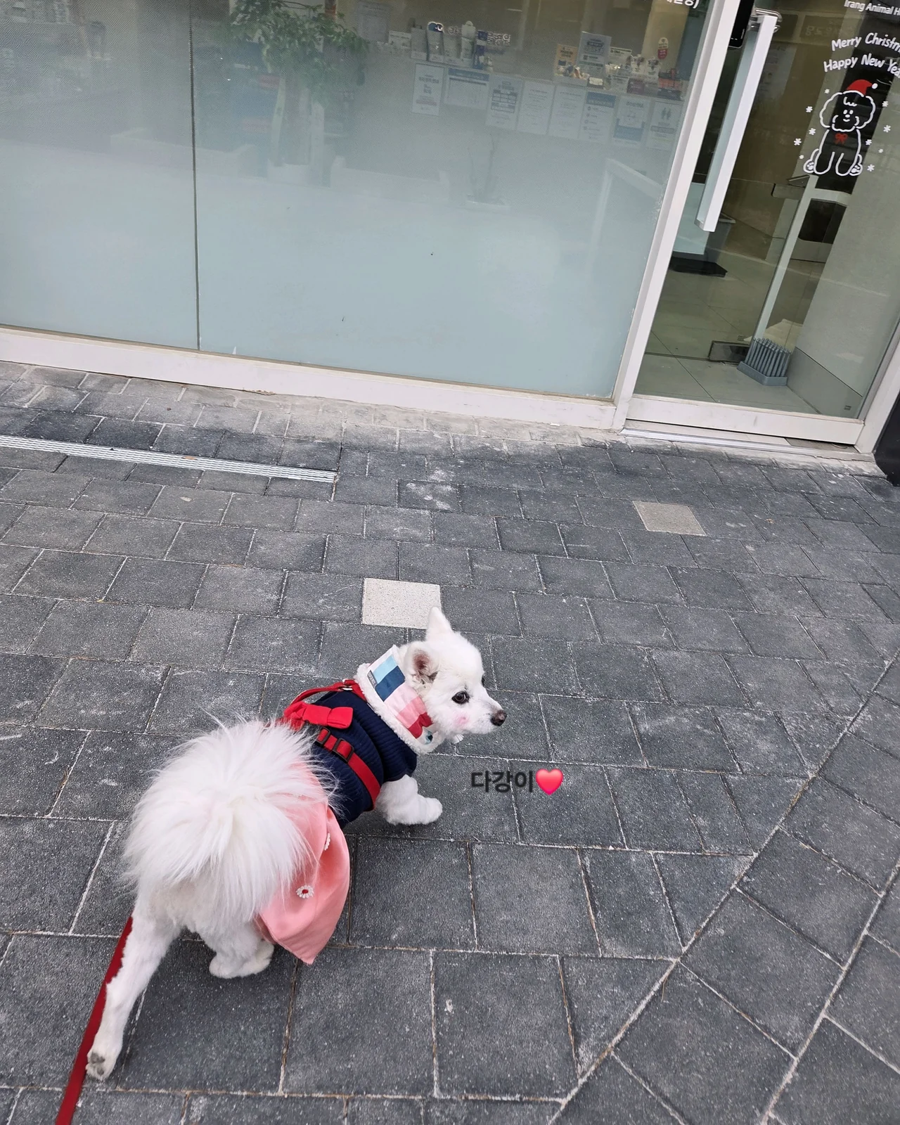 리뷰 사진 1