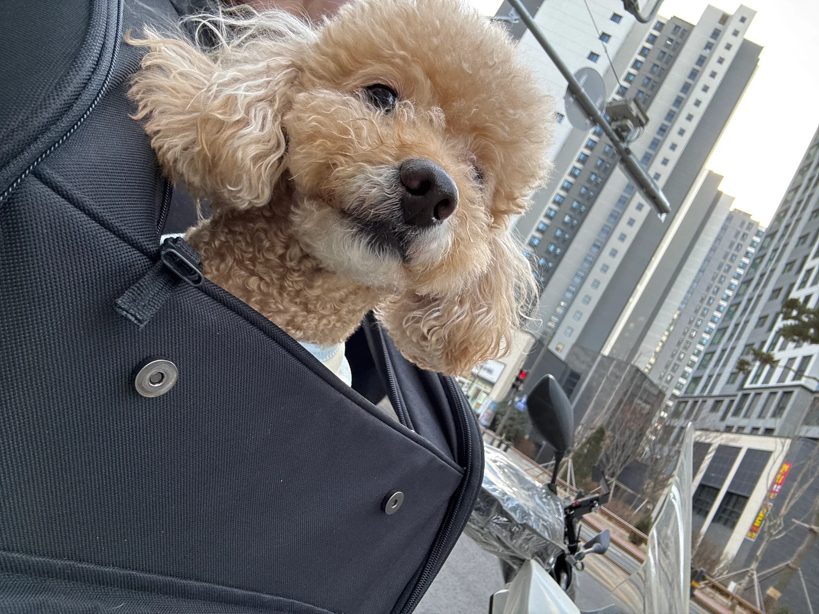 리뷰 사진 1
