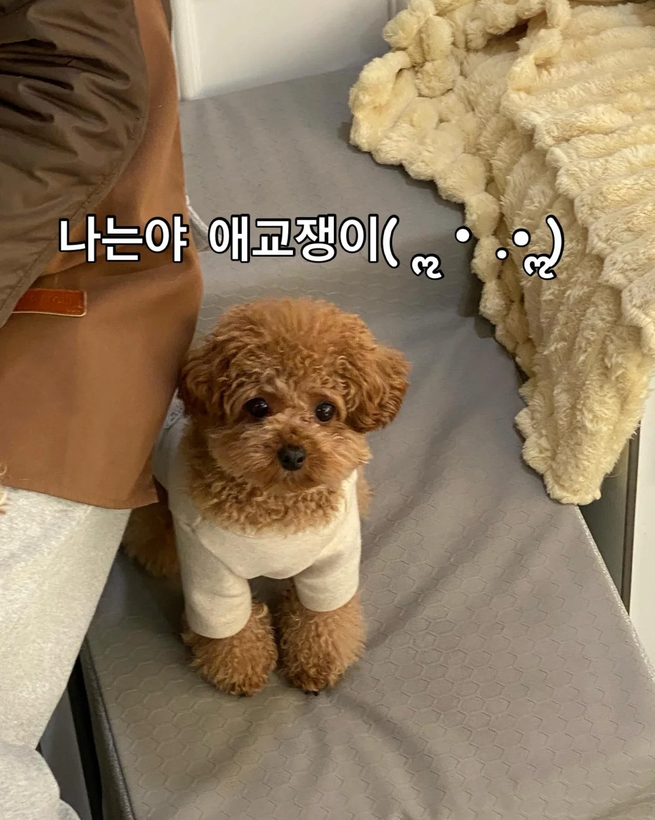 리뷰 사진 1
