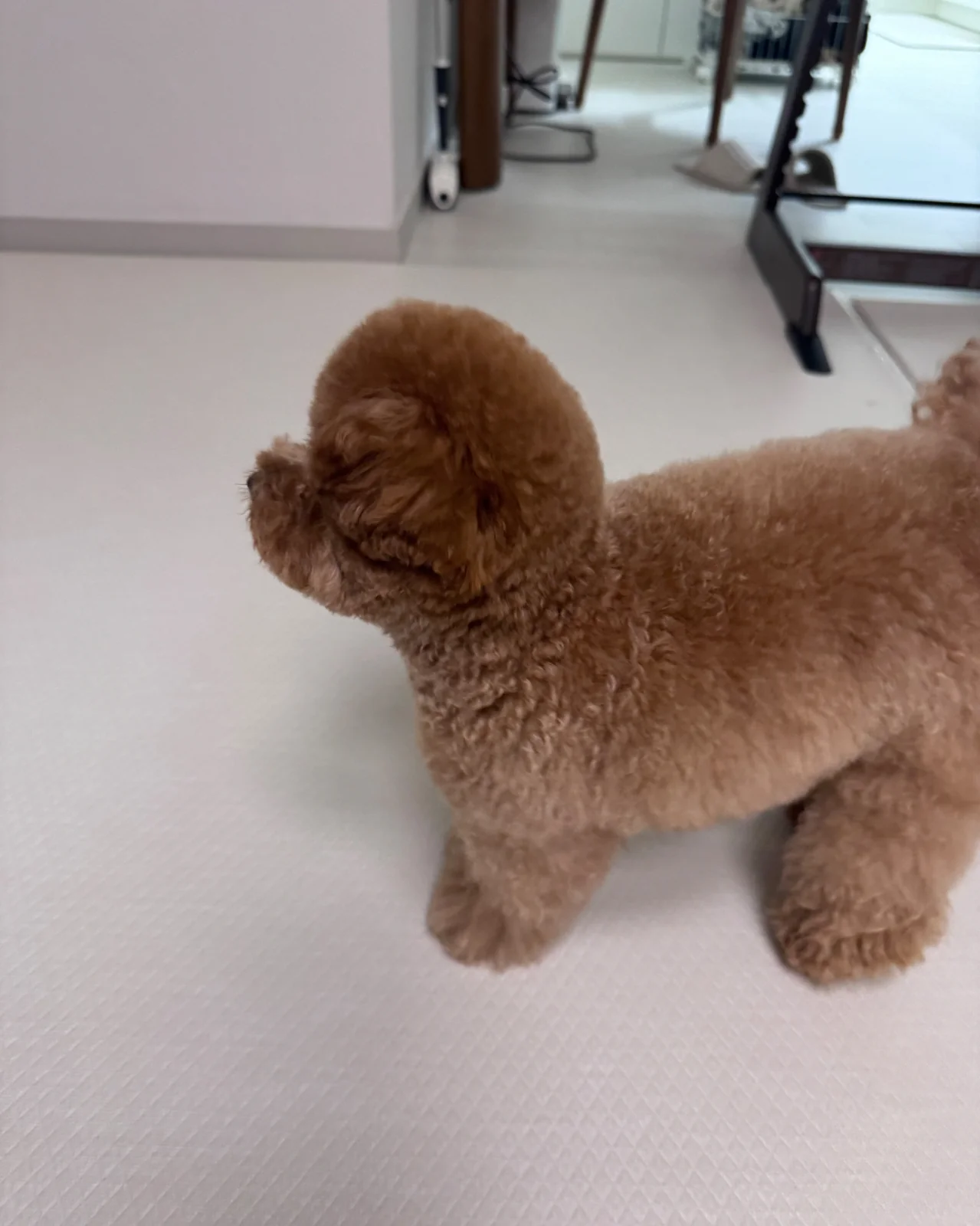 리뷰 사진 1