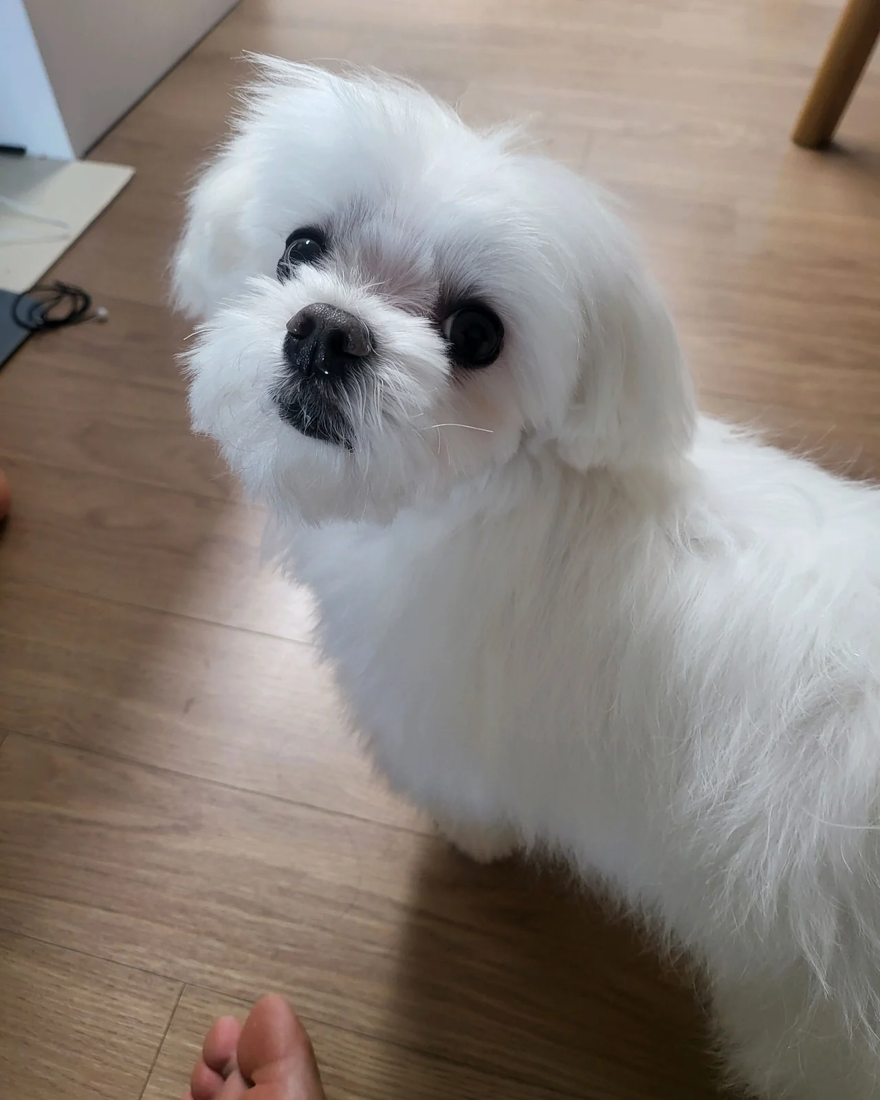 아이랑 동물병원 사진 2