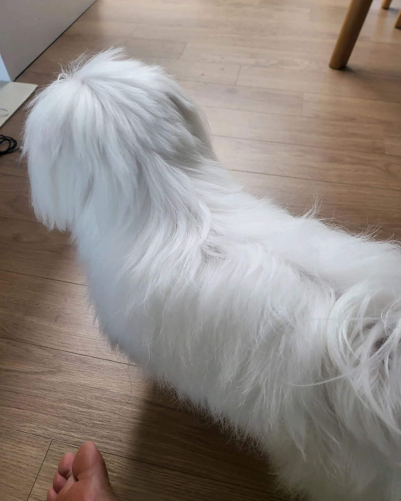 리뷰 사진 2