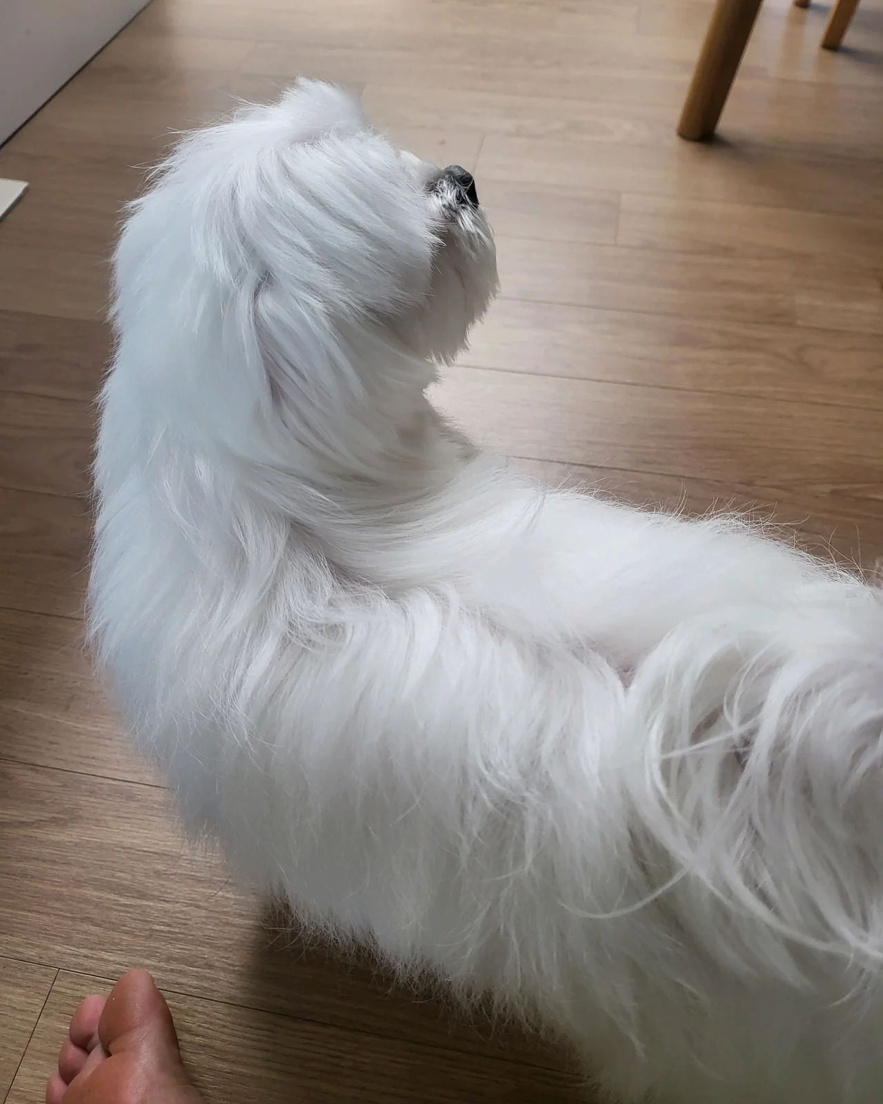 리뷰 사진 3