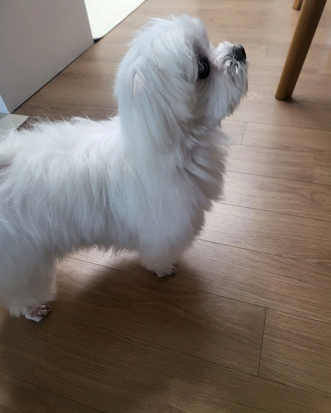 리뷰 사진 4