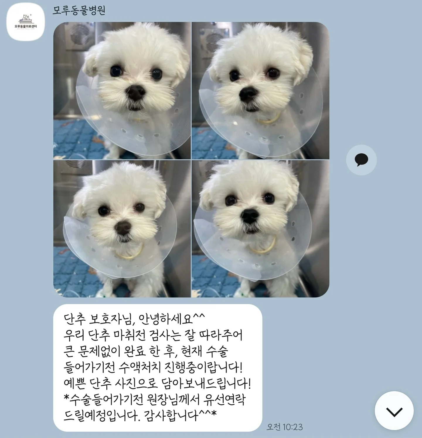 리뷰 사진 1
