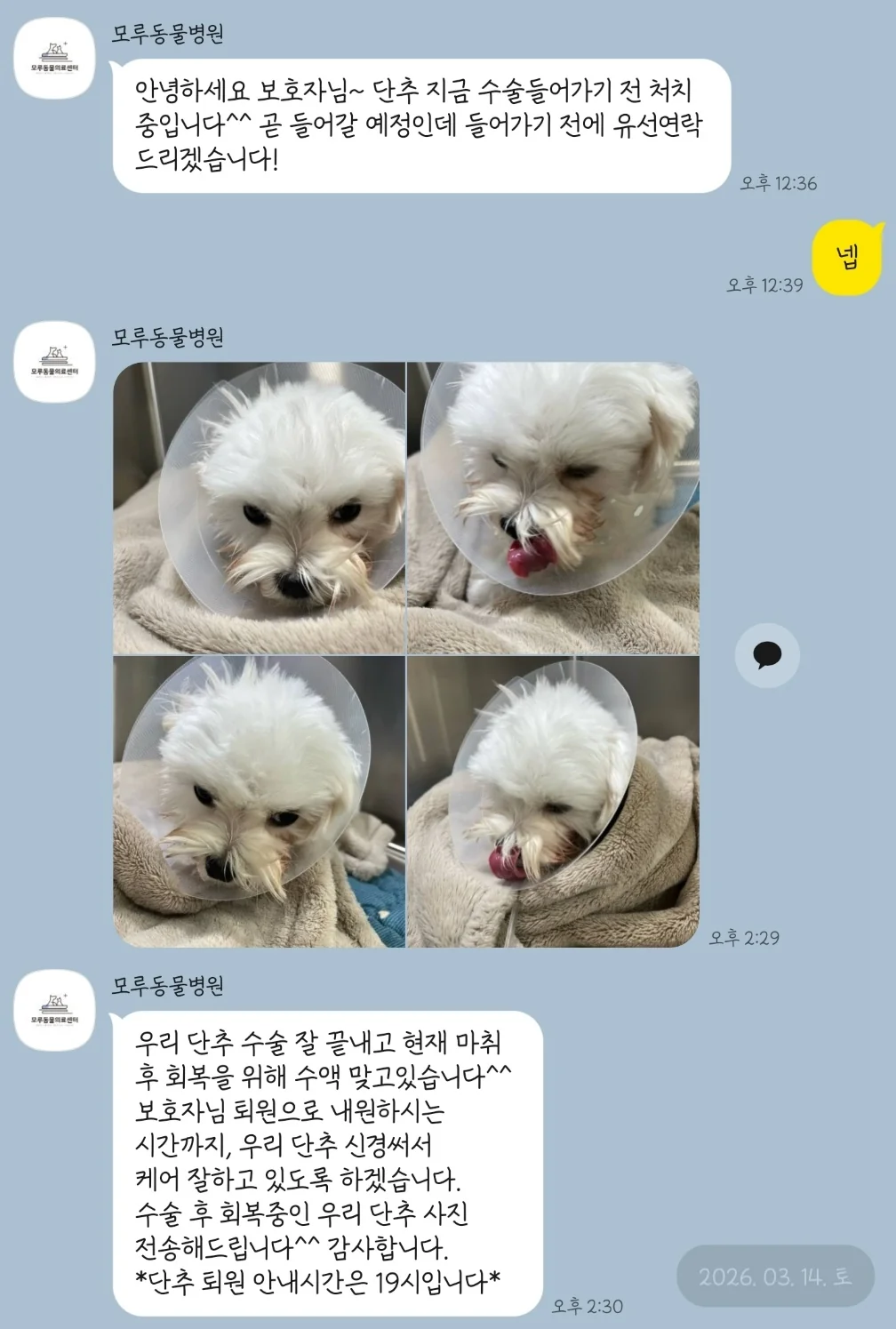 리뷰 사진 2