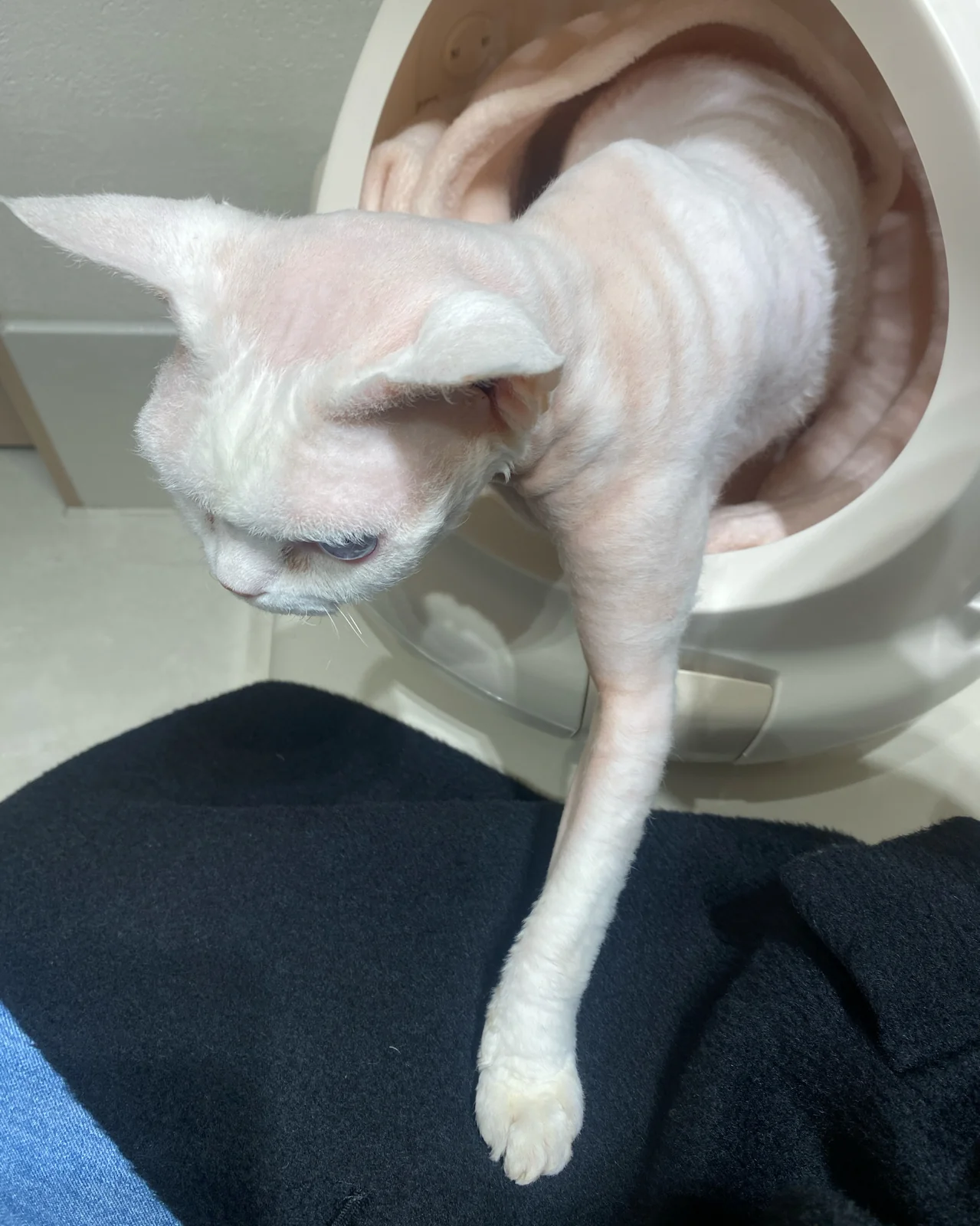 리뷰 사진 2