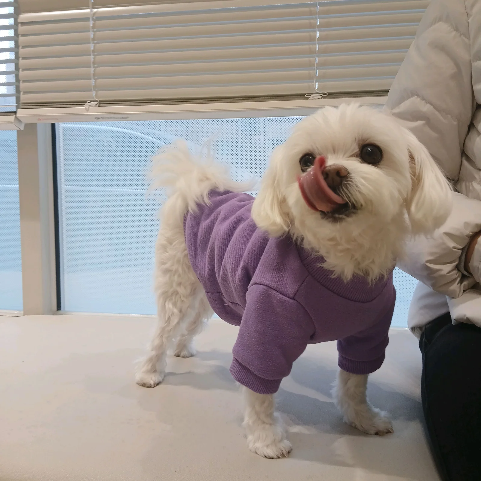 리뷰 사진 3