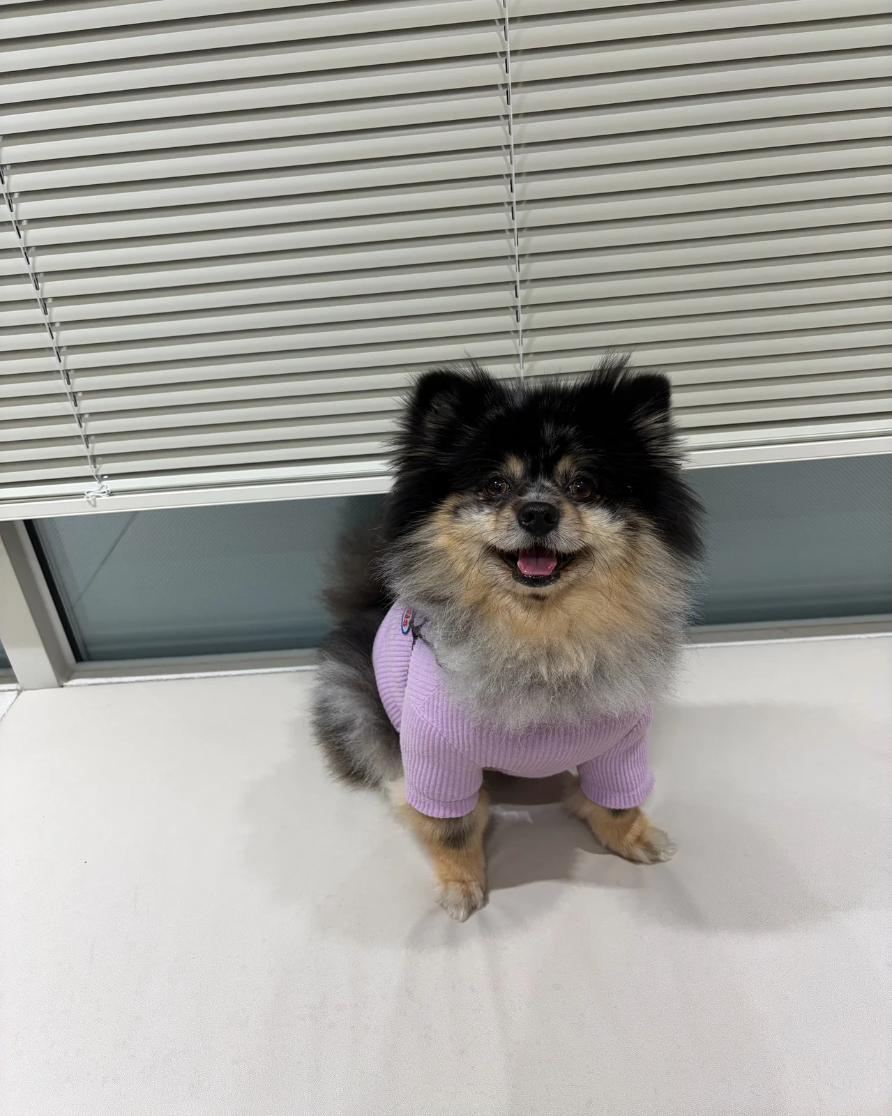 리뷰 사진 1