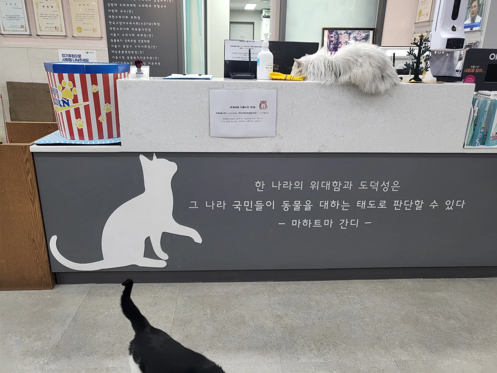 리뷰 사진 3