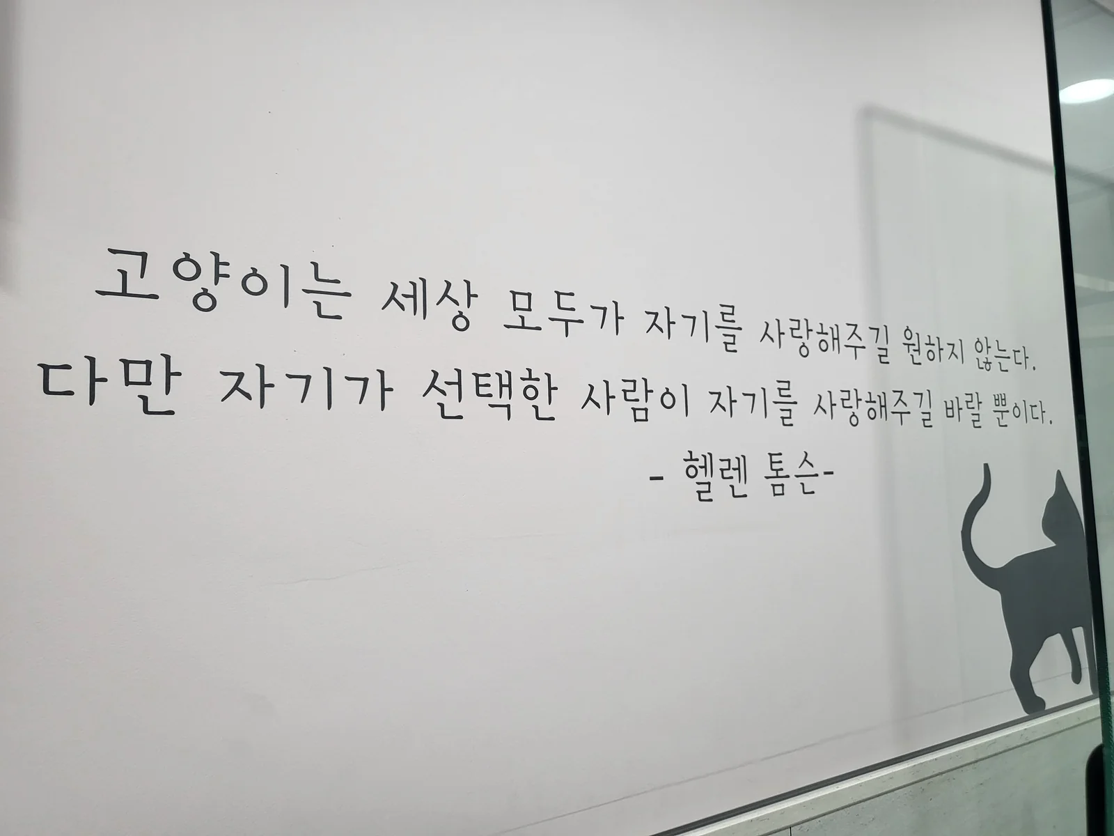 리뷰 사진 4