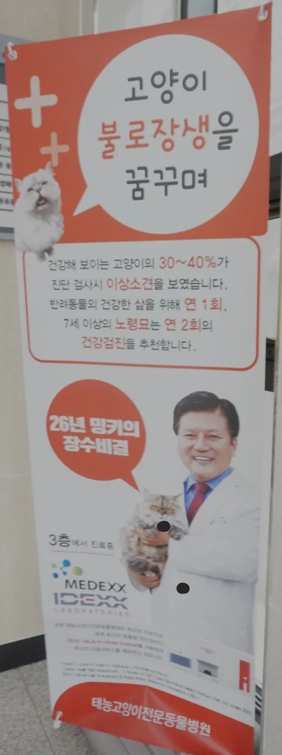 리뷰 사진 1