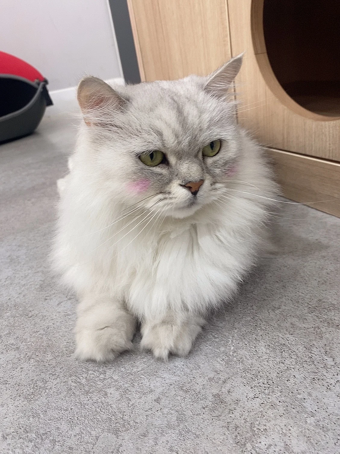 리뷰 사진 1