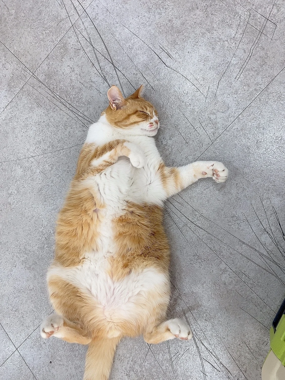 리뷰 사진 2