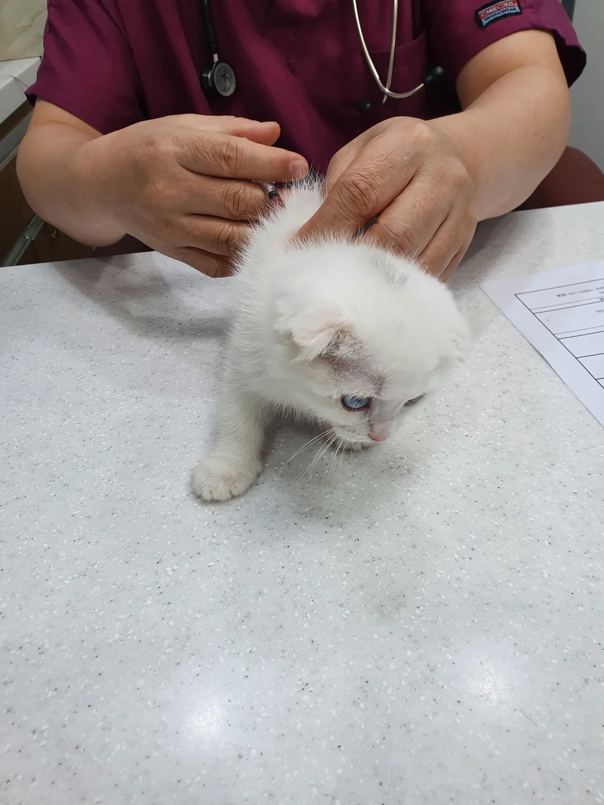 리뷰 사진 3