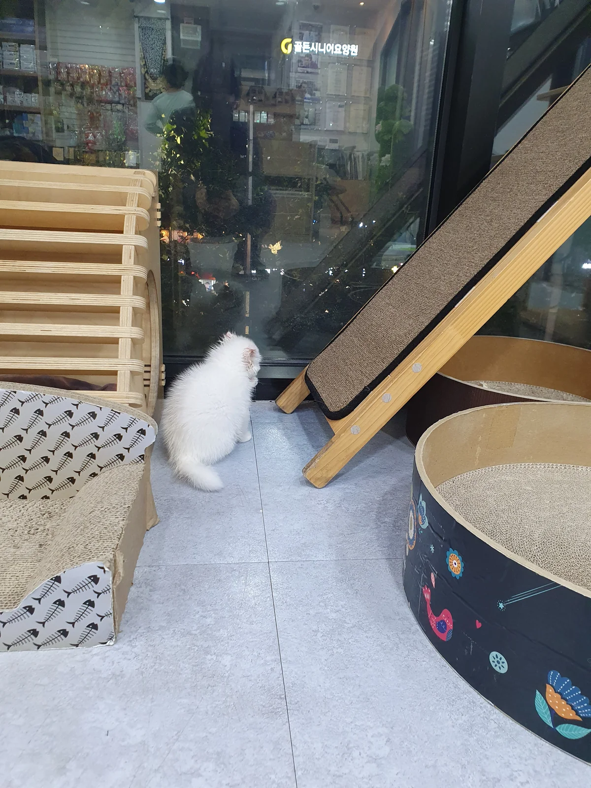 리뷰 사진 5