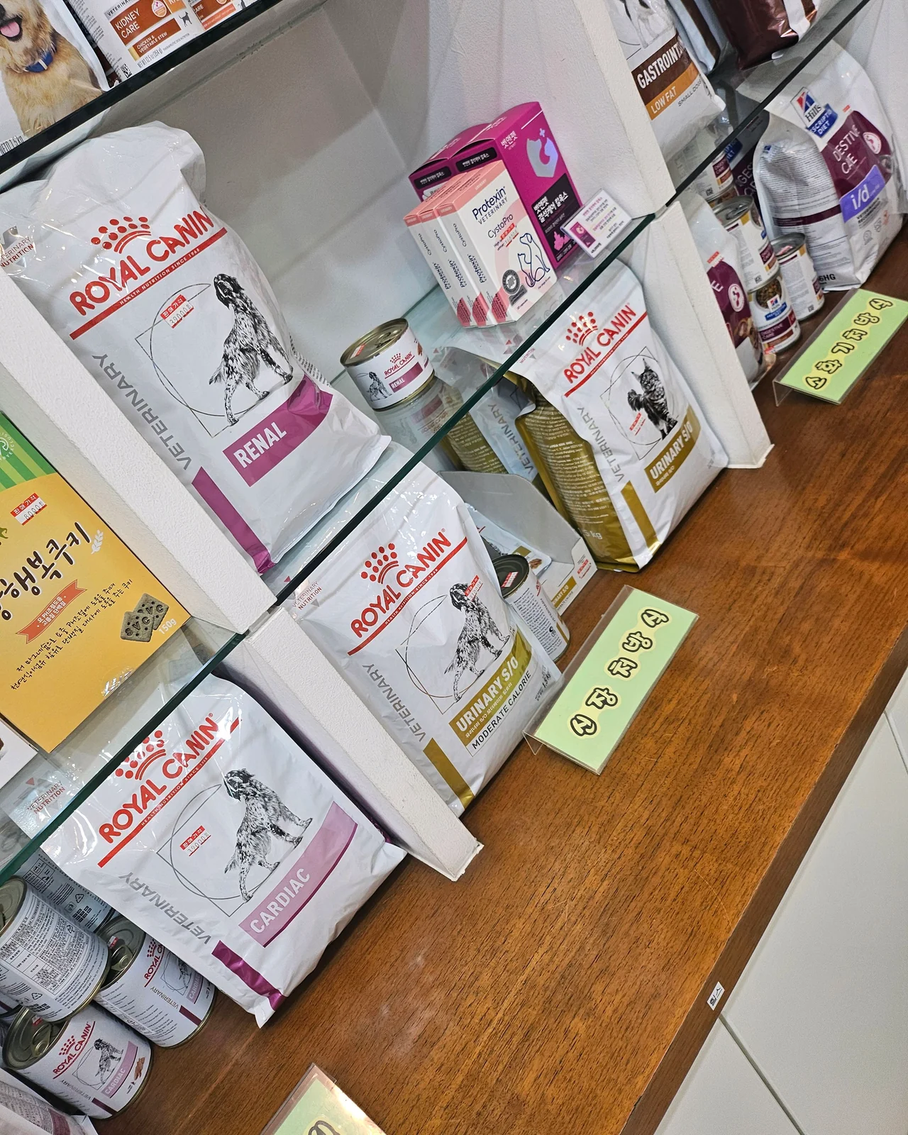리뷰 사진 1