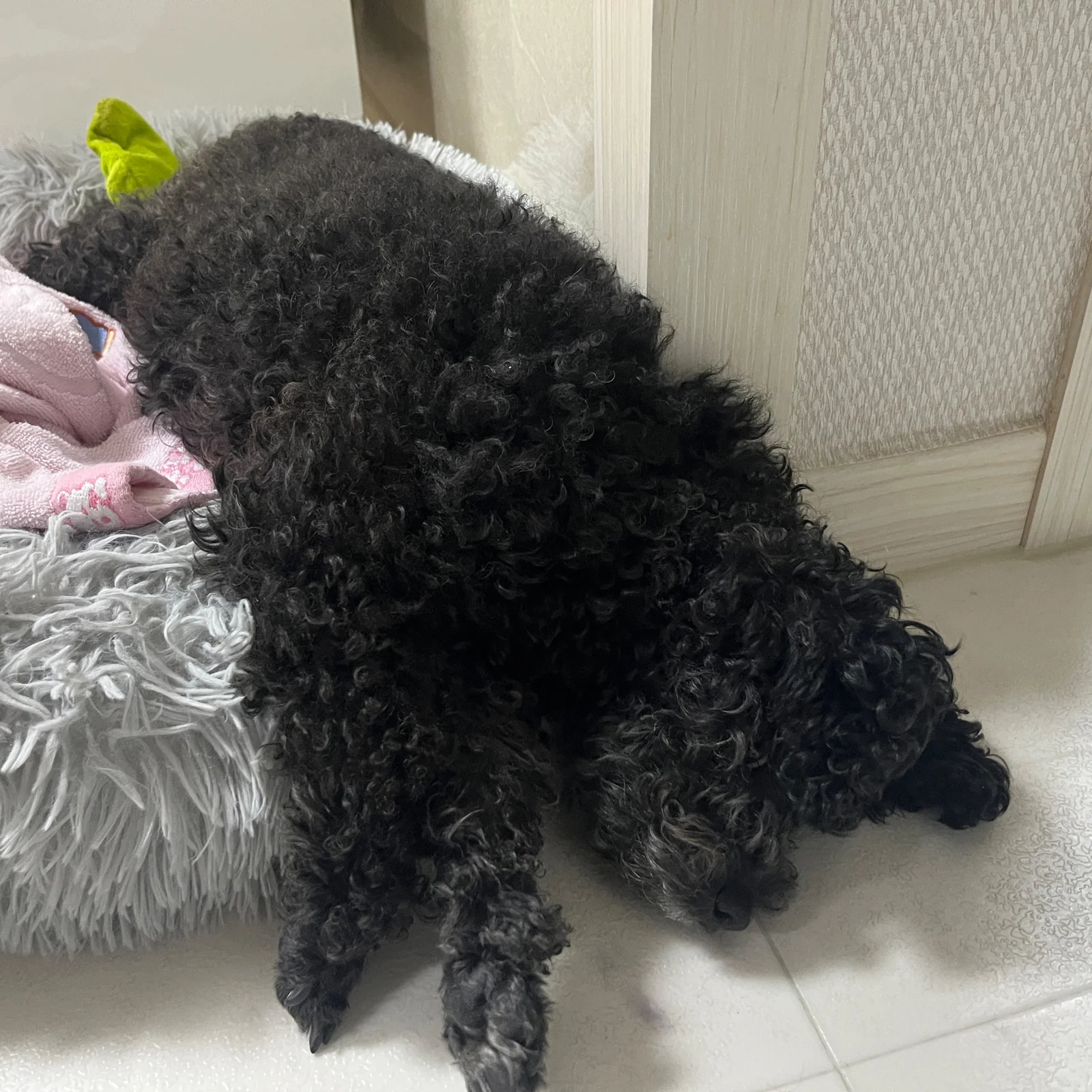 리뷰 사진 1